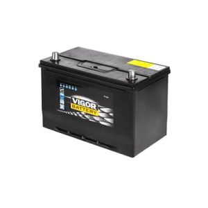 باتری ویگور ۶۰ آمپر معکوس